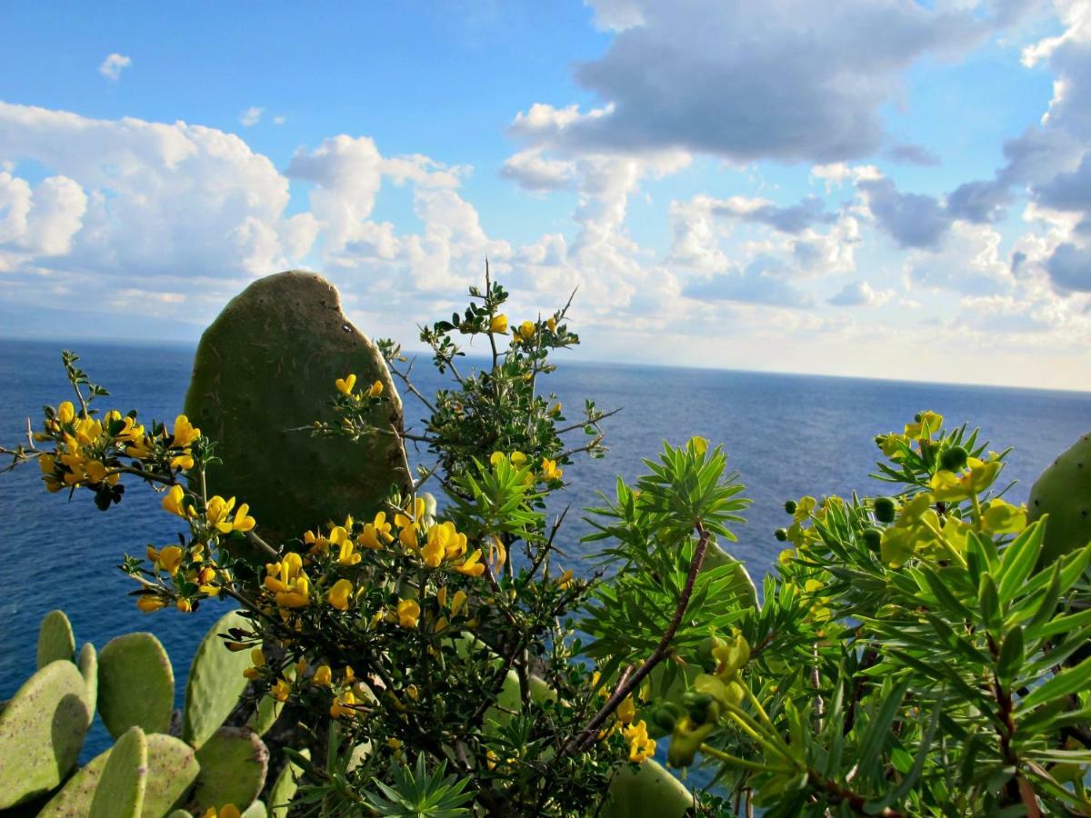 Casa Vacanze Miceli Tropea Zewnętrze zdjęcie